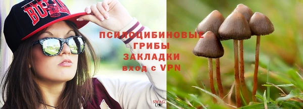 крисы Абдулино